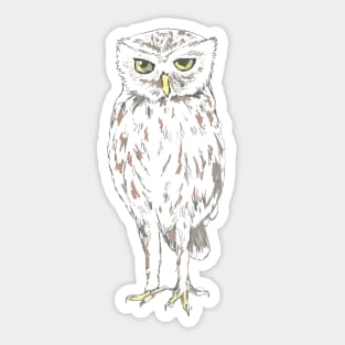 Judging Owl Sticker